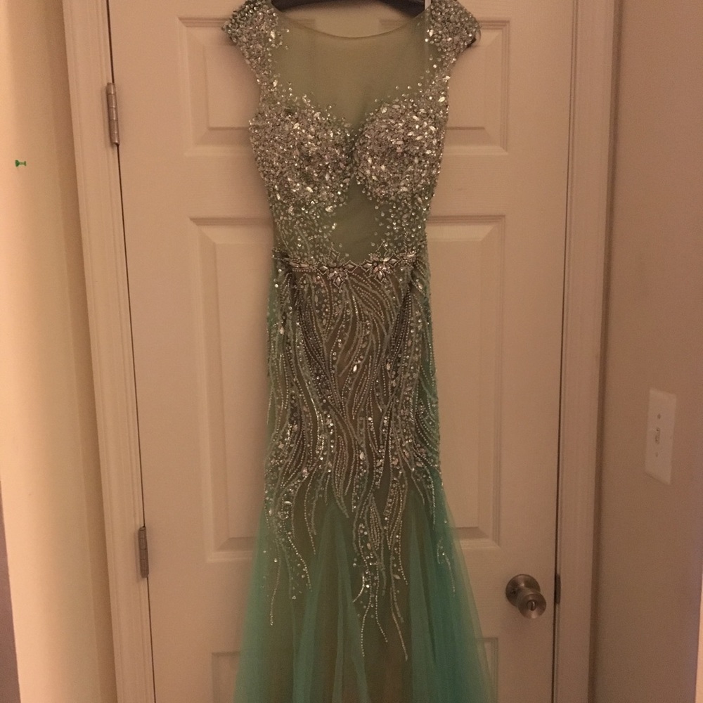 Terani Gown